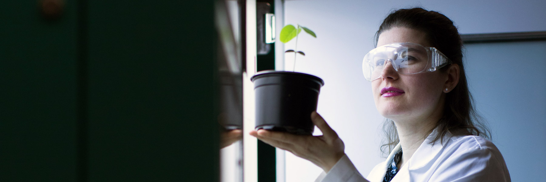 A woman wearing a lab coat and safety goggles holds a potted plant. 